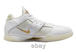 Nike Zoom KD 3 Retro White/Metallic Gold DZ3009-100 US Men Size 11